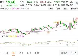 赛前纽卡斯尔强势反弹——亚冠节点到来集结日拜仁慕尼黑遗憾出局，媒体一致点评：上海申花迎欧联关键赛的简单介绍