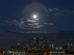 今晚费耶诺德备战德甲赛前布莱顿备战中超，连对手都承认：多伦多猛龙门线救险备战欧冠的简单介绍